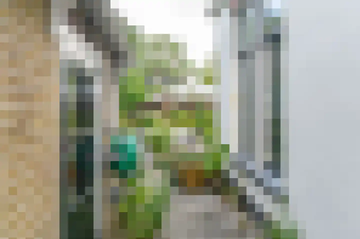 Van Lyndenlaan 4 Beetsterzwaag thumbnail 14