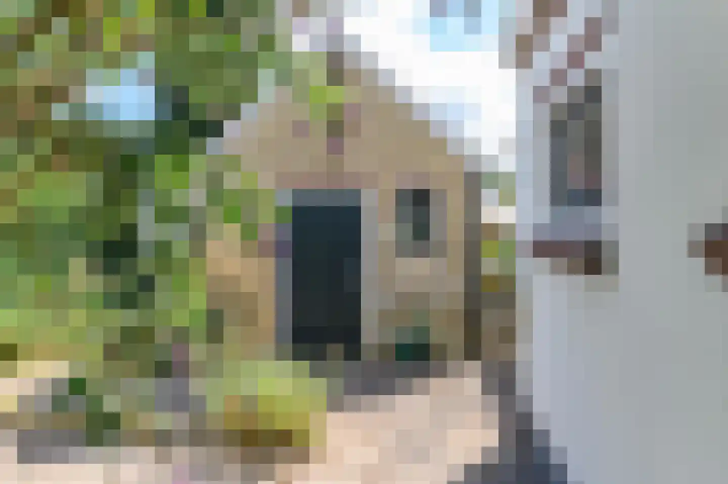 Van Lyndenlaan 4 Beetsterzwaag thumbnail 16