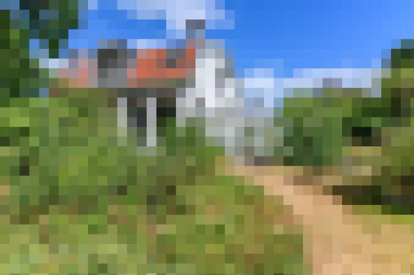Van Lyndenlaan 4 Beetsterzwaag thumbnail 18