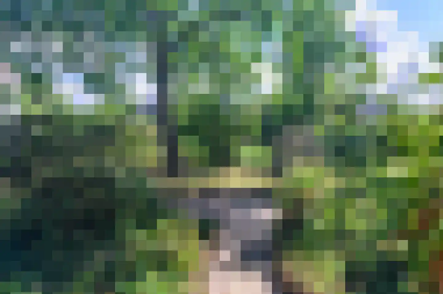 Van Lyndenlaan 4 Beetsterzwaag thumbnail 20