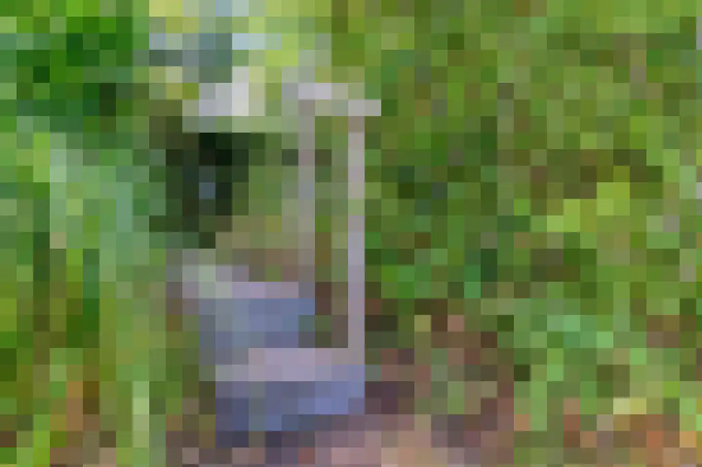 Van Lyndenlaan 4 Beetsterzwaag thumbnail 21