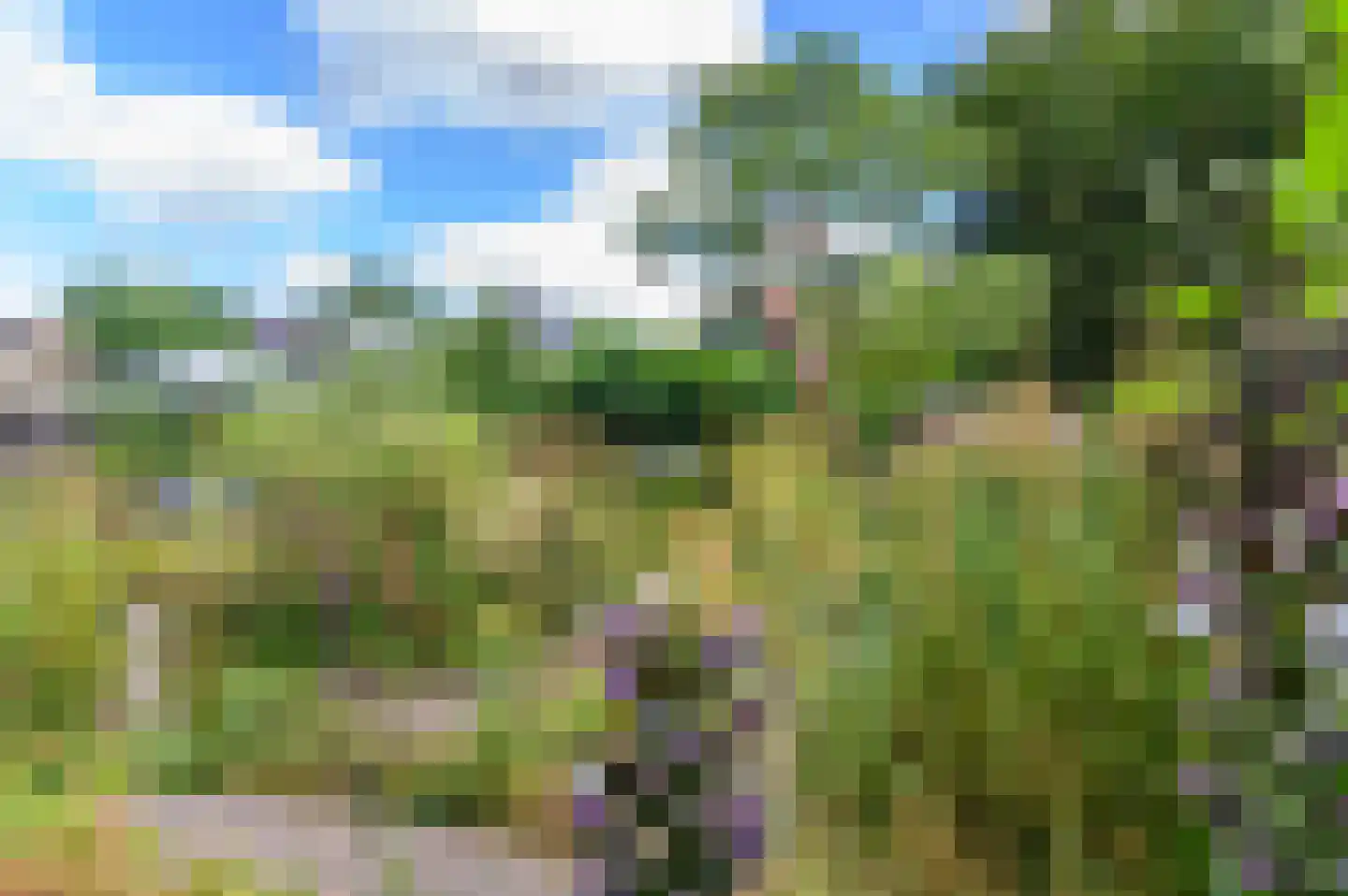 Van Lyndenlaan 4 Beetsterzwaag thumbnail 25
