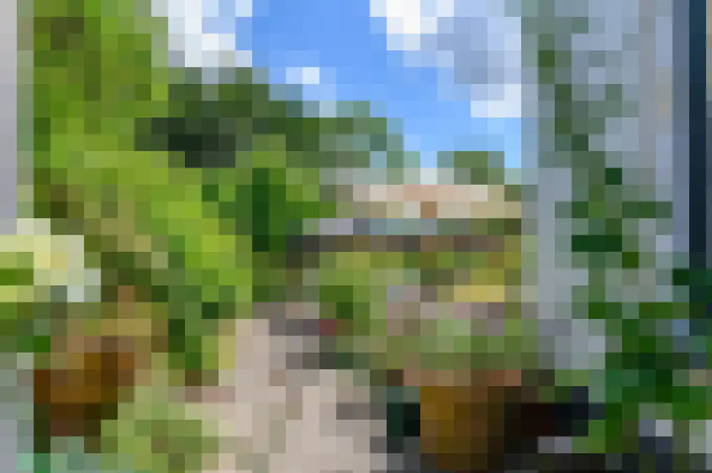 Van Lyndenlaan 4 Beetsterzwaag thumbnail 30