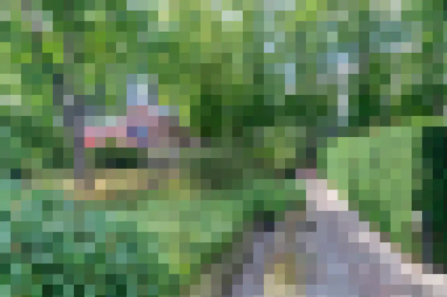 Van Lyndenlaan 4 Beetsterzwaag thumbnail 31