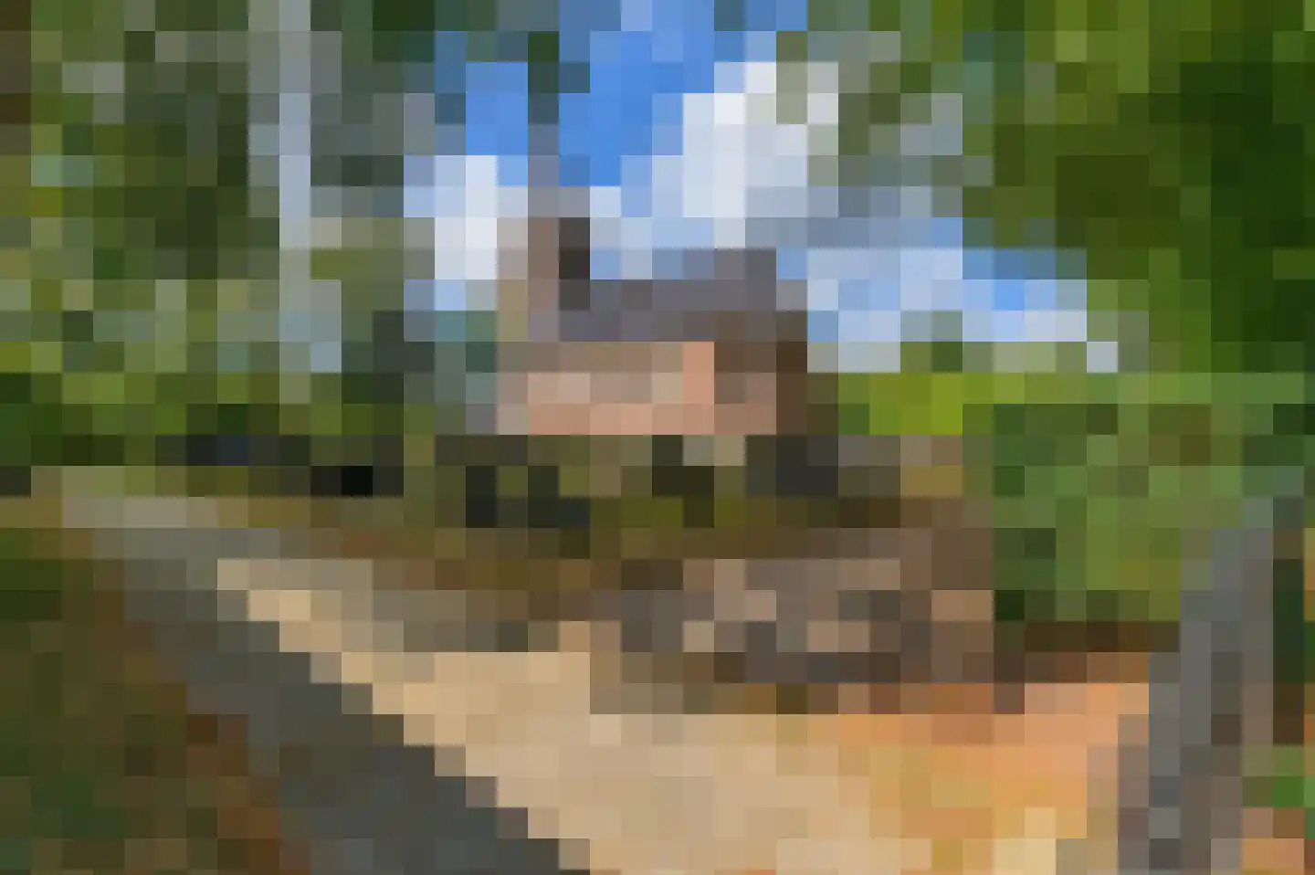 Van Lyndenlaan 4 Beetsterzwaag thumbnail 34