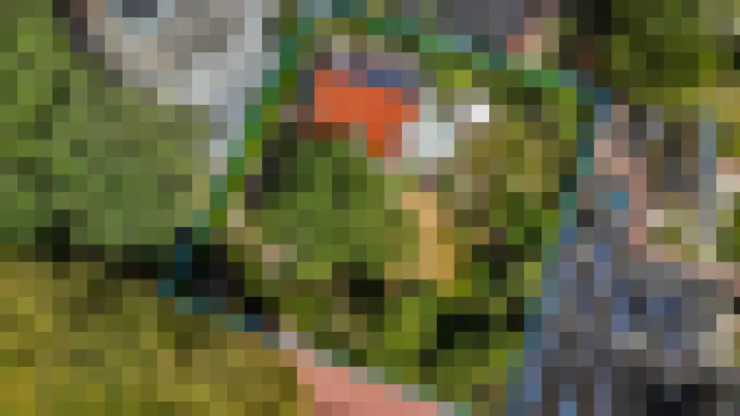 Van Lyndenlaan 4 Beetsterzwaag thumbnail 36
