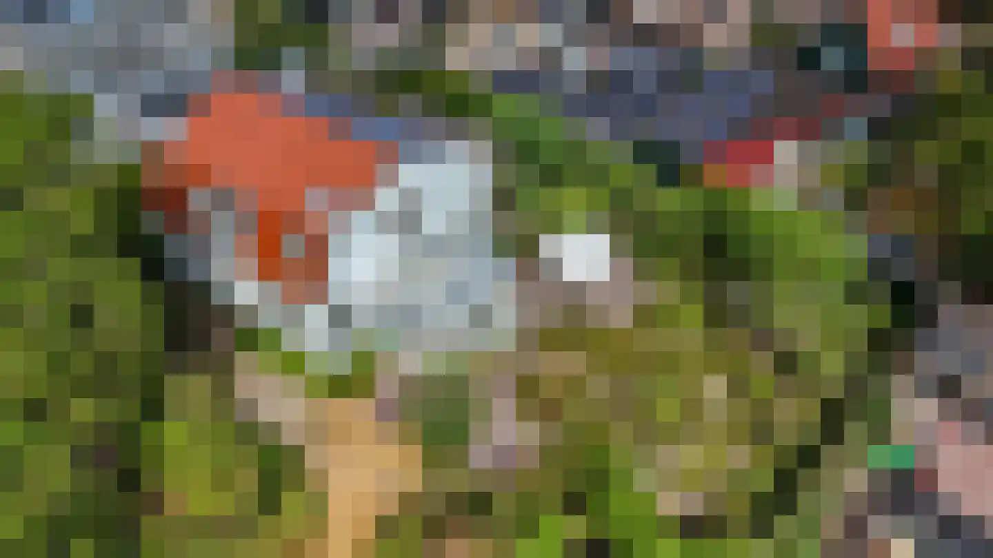 Van Lyndenlaan 4 Beetsterzwaag thumbnail 38