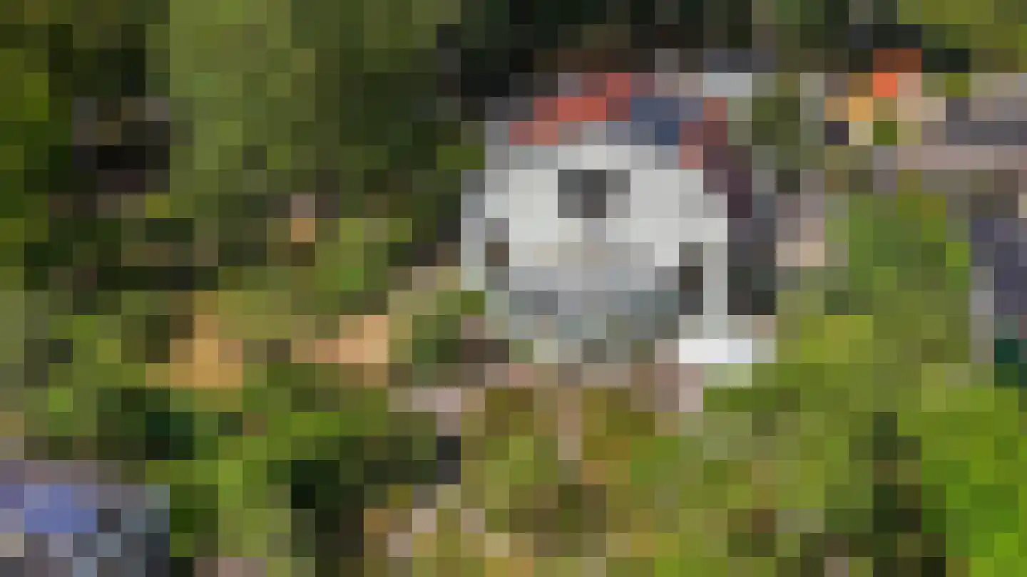 Van Lyndenlaan 4 Beetsterzwaag thumbnail 39