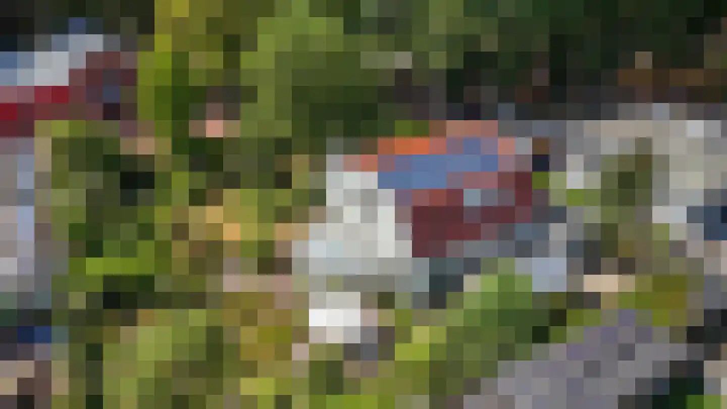 Van Lyndenlaan 4 Beetsterzwaag thumbnail 40
