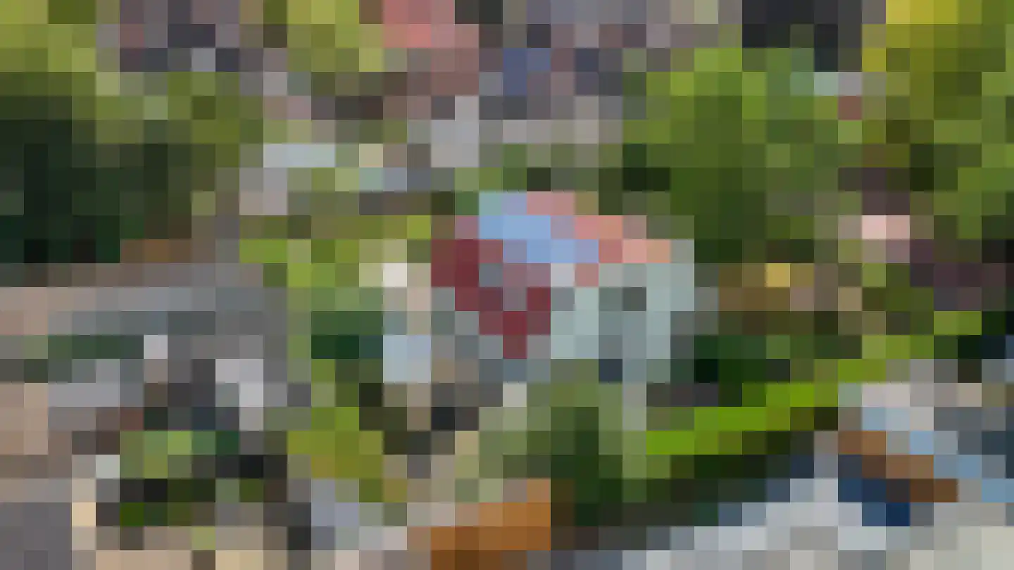 Van Lyndenlaan 4 Beetsterzwaag thumbnail 41
