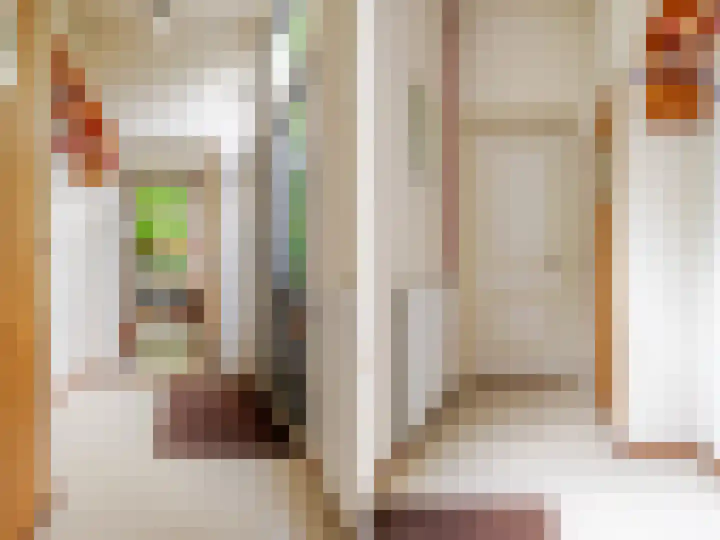 Van Lyndenlaan 4 Beetsterzwaag thumbnail 42