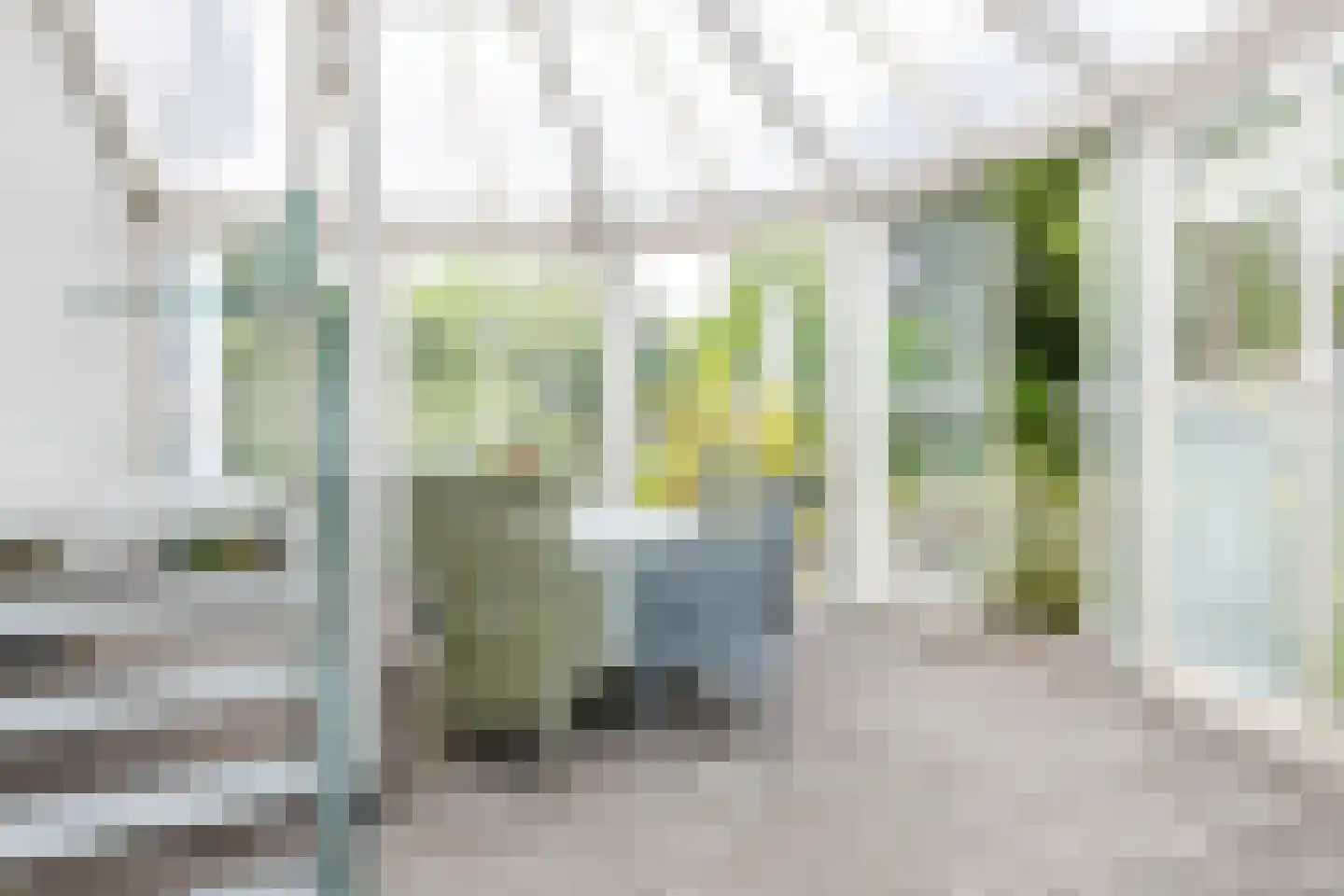 Van Lyndenlaan 4 Beetsterzwaag thumbnail 56