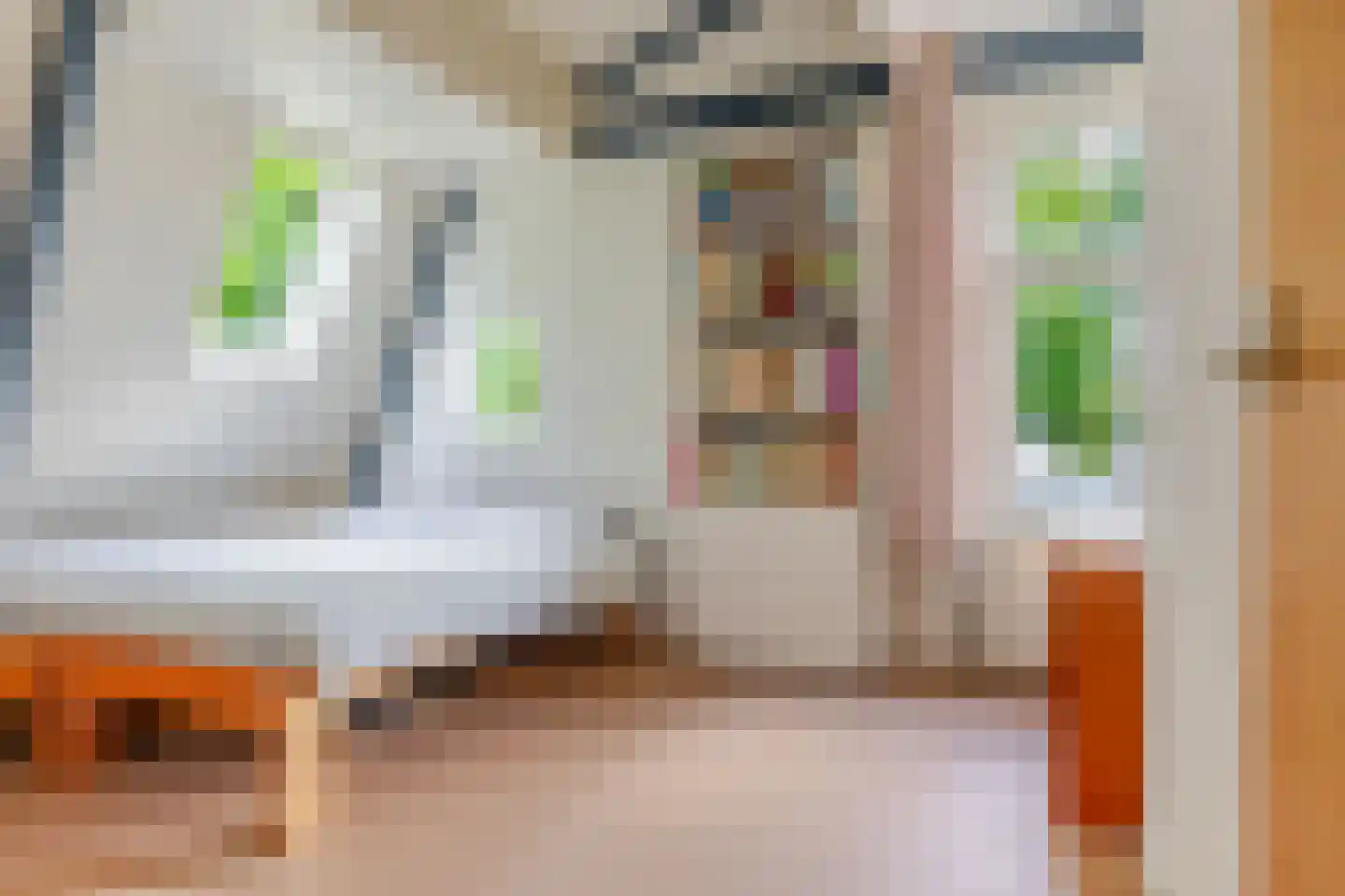 Van Lyndenlaan 4 Beetsterzwaag thumbnail 73