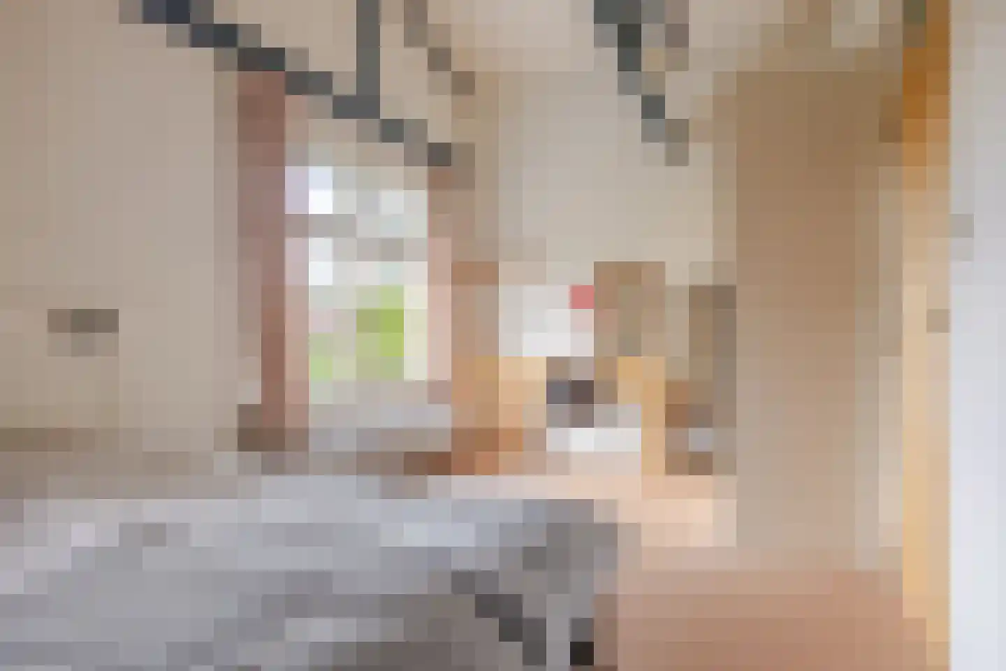 Van Lyndenlaan 4 Beetsterzwaag thumbnail 78