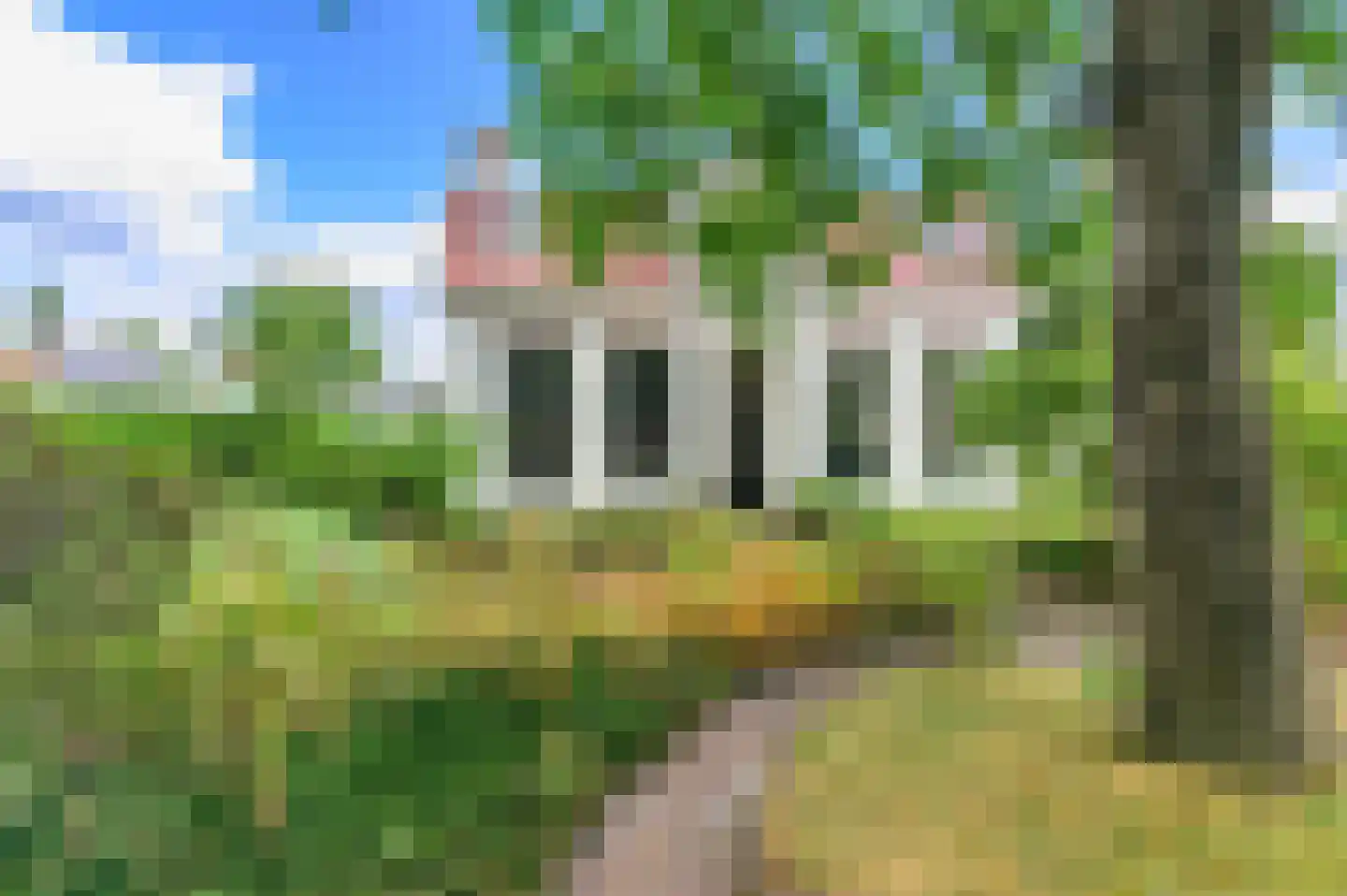 Van Lyndenlaan 4 Beetsterzwaag thumbnail 9
