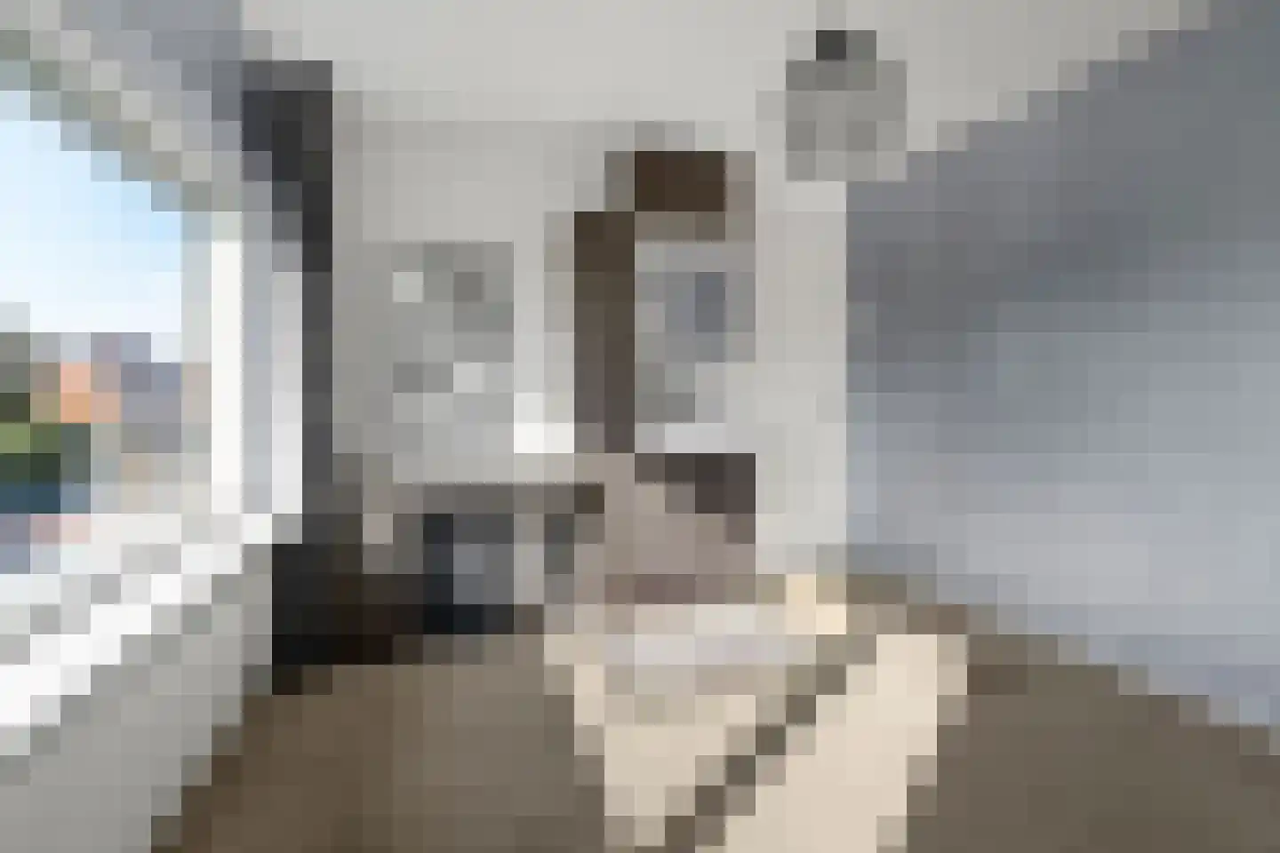 van Lyndenlaan 47 Hoevelaken thumbnail 19