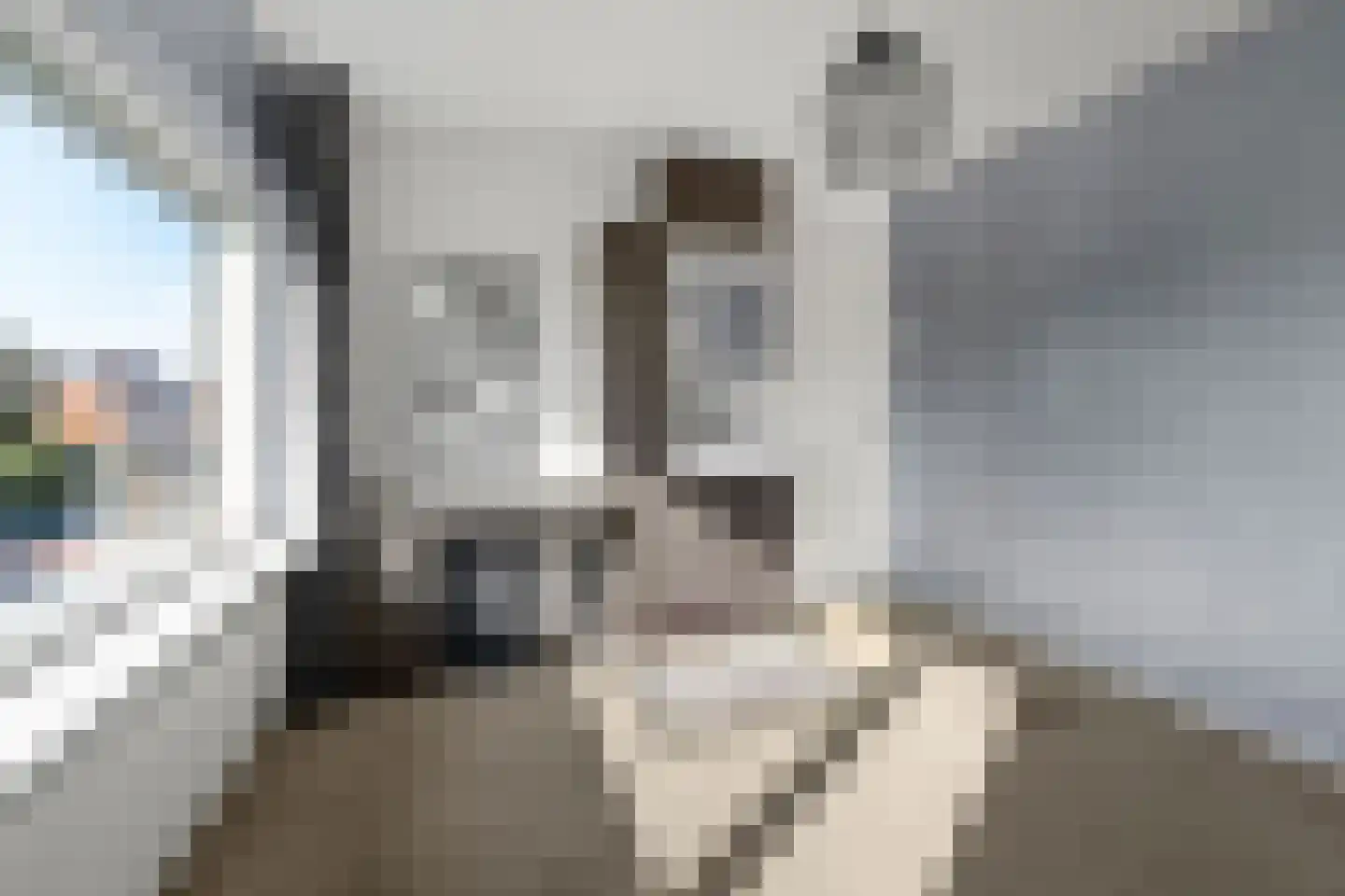 van Lyndenlaan 47 Hoevelaken thumbnail 19