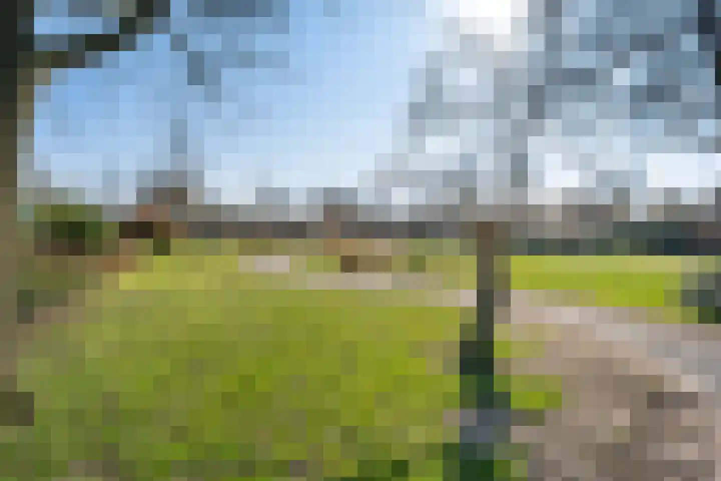 van Lyndenlaan 47 Hoevelaken thumbnail 30