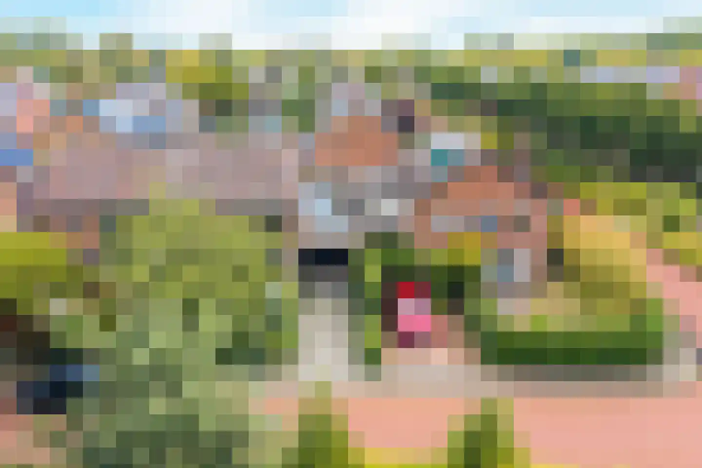 van Lyndenlaan 55 Hoevelaken thumbnail 10