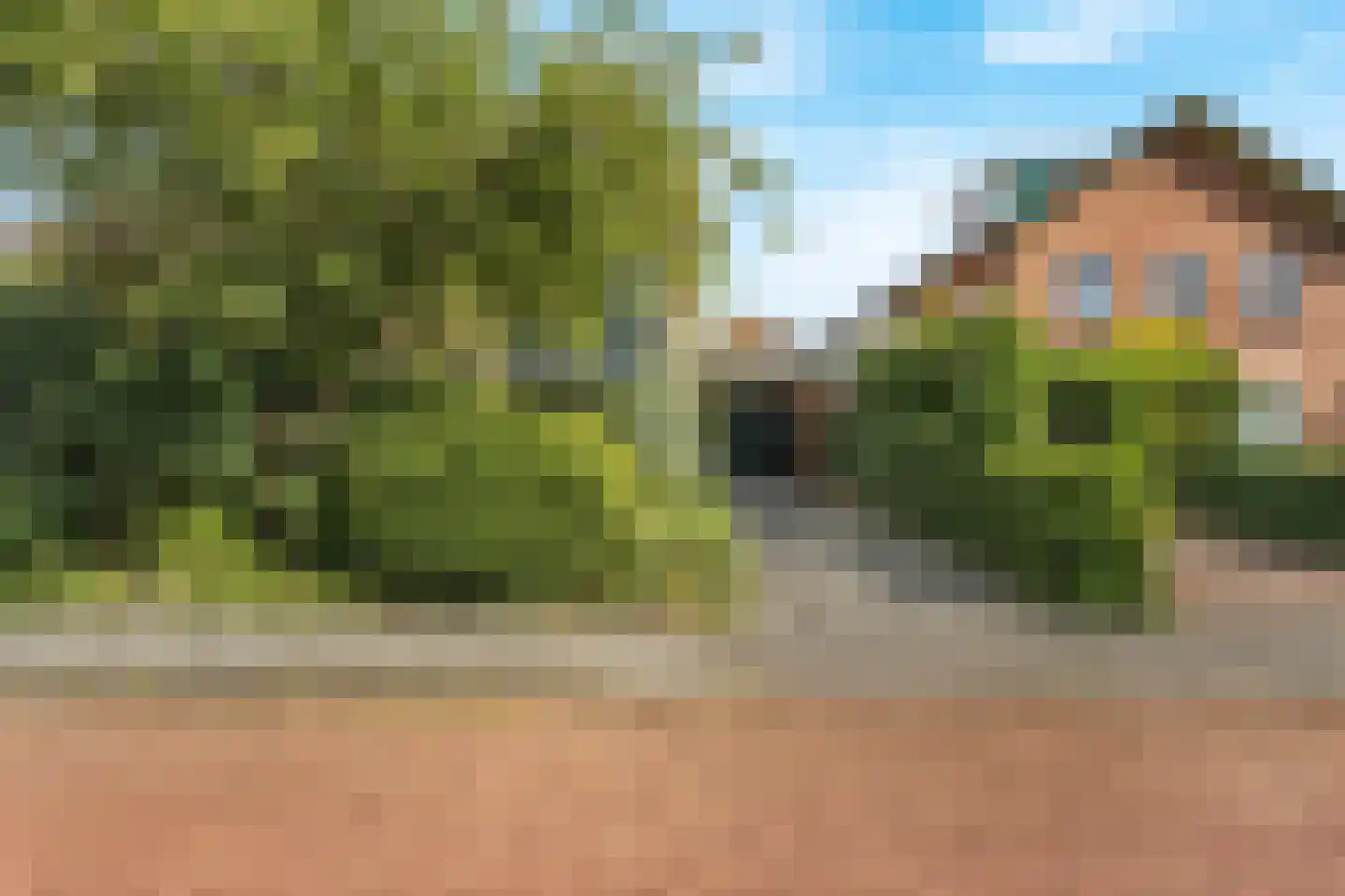 van Lyndenlaan 55 Hoevelaken thumbnail 11