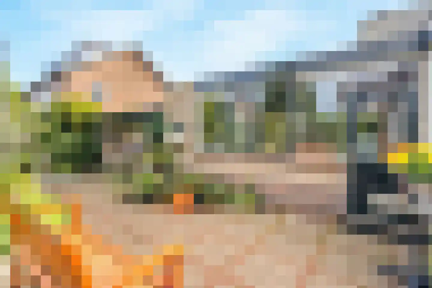 van Lyndenlaan 55 Hoevelaken thumbnail 42
