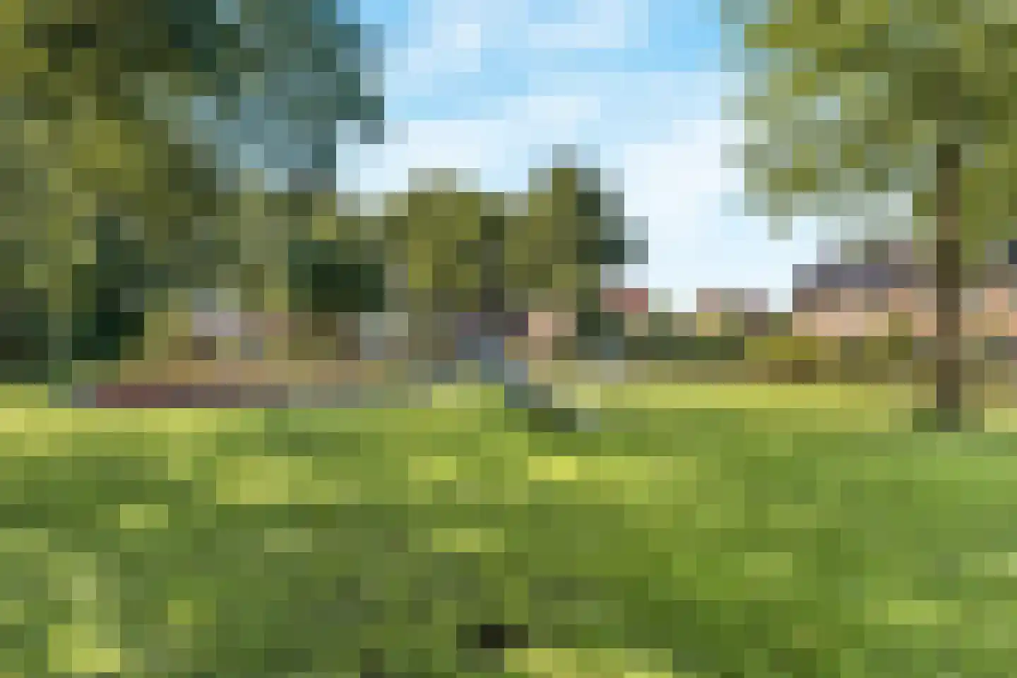 van Lyndenlaan 55 Hoevelaken thumbnail 6
