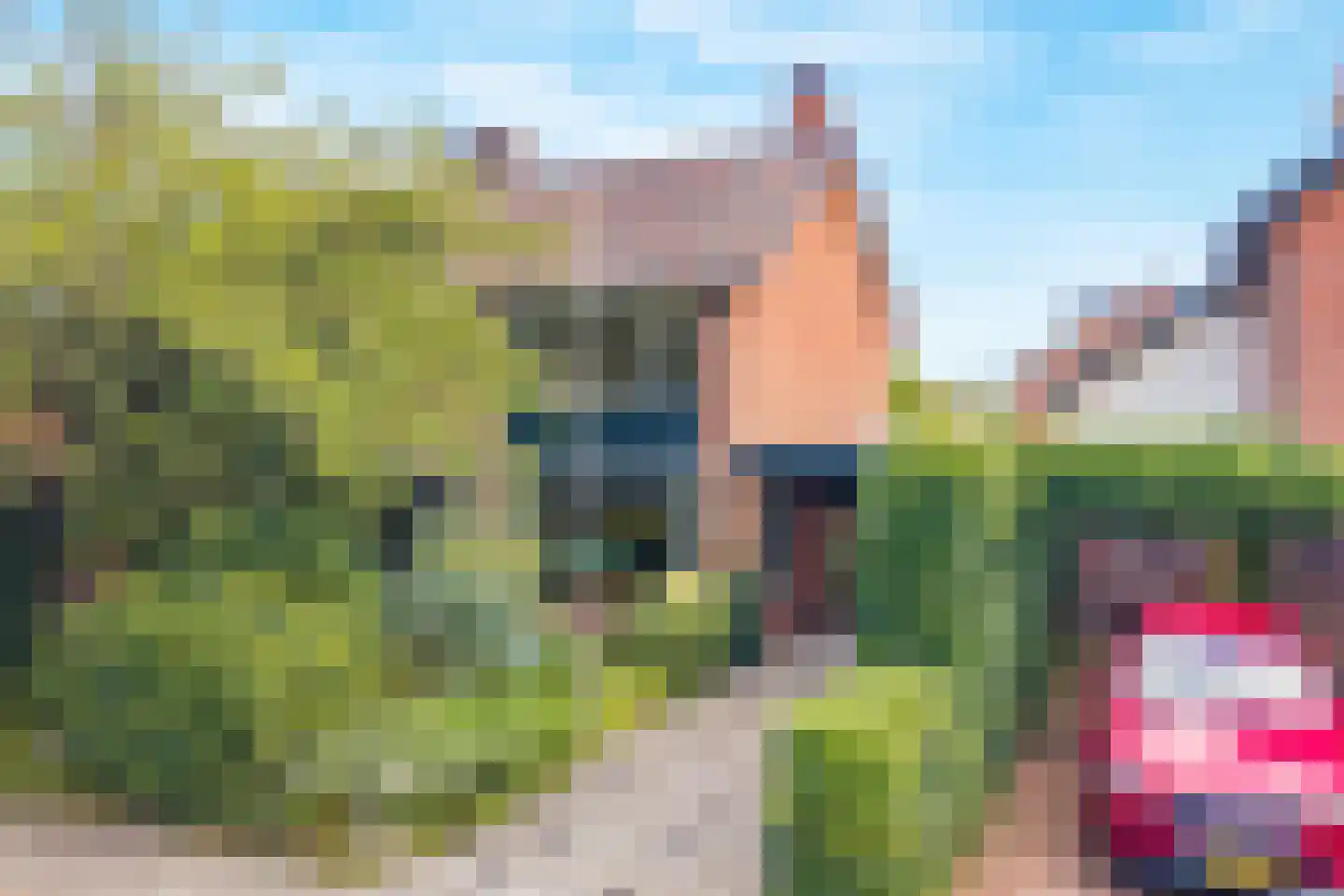 van Lyndenlaan 55 Hoevelaken thumbnail 8