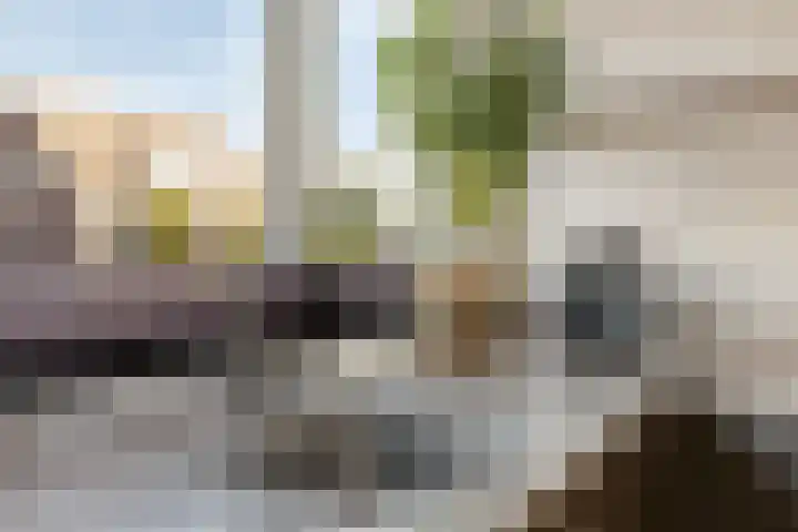 van Lyndenstraat 10 a Millingen aan de Rijn thumbnail 16