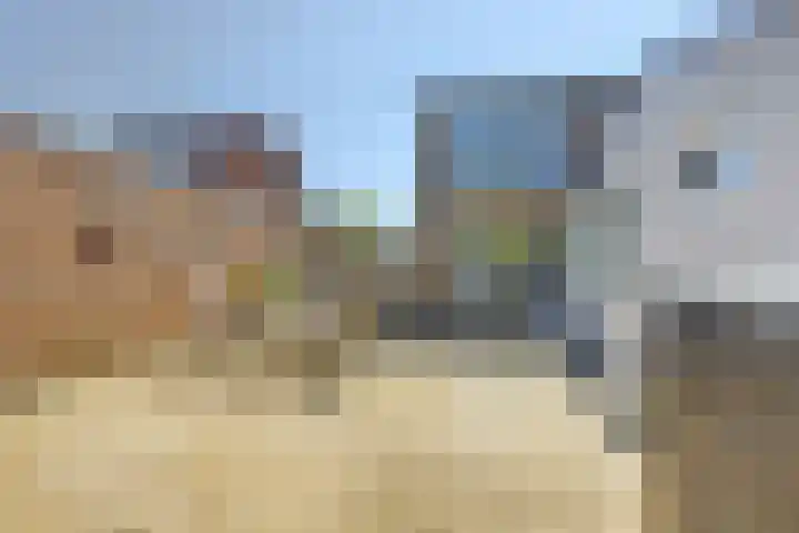 van Lyndenstraat 7 Millingen aan de Rijn thumbnail 36