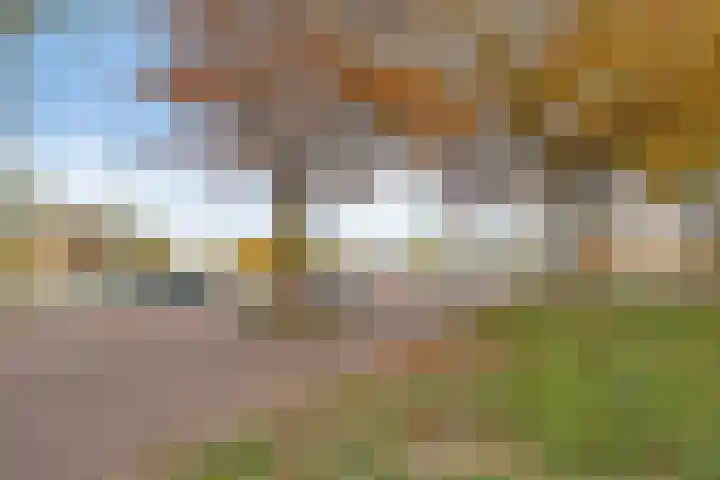 Van Maanenkade 224 Den Haag thumbnail 18