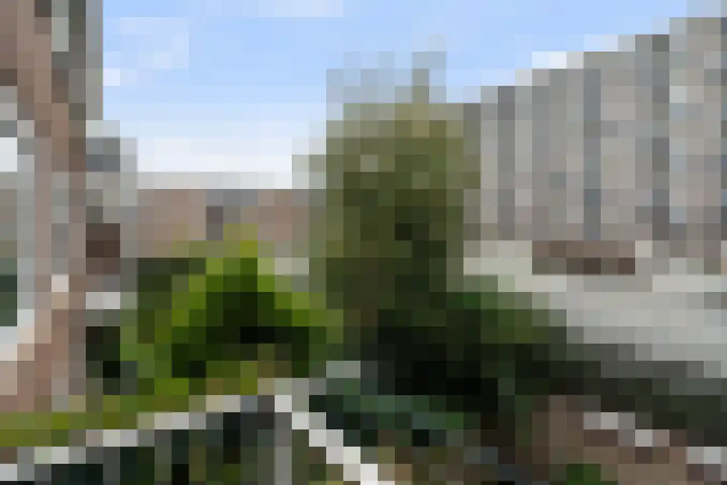 Van Maanenstraat 11 B Rotterdam thumbnail 25