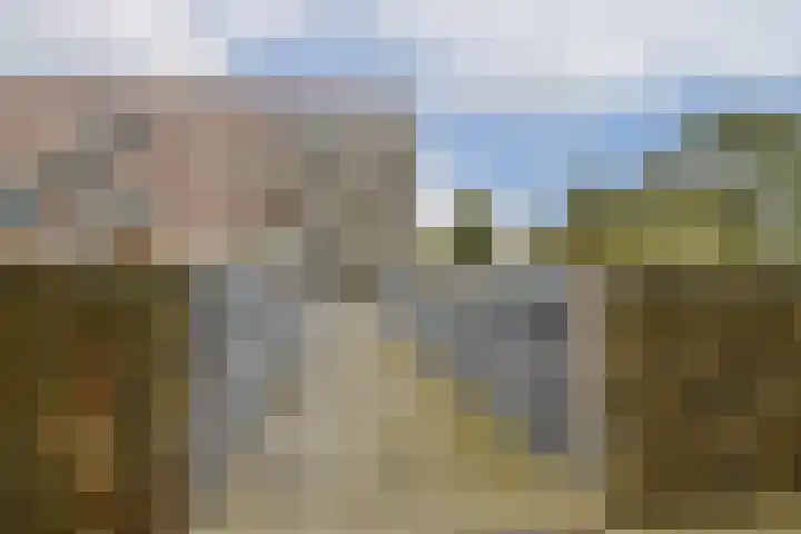 van Maanenstraat 110 Vlaardingen thumbnail 31