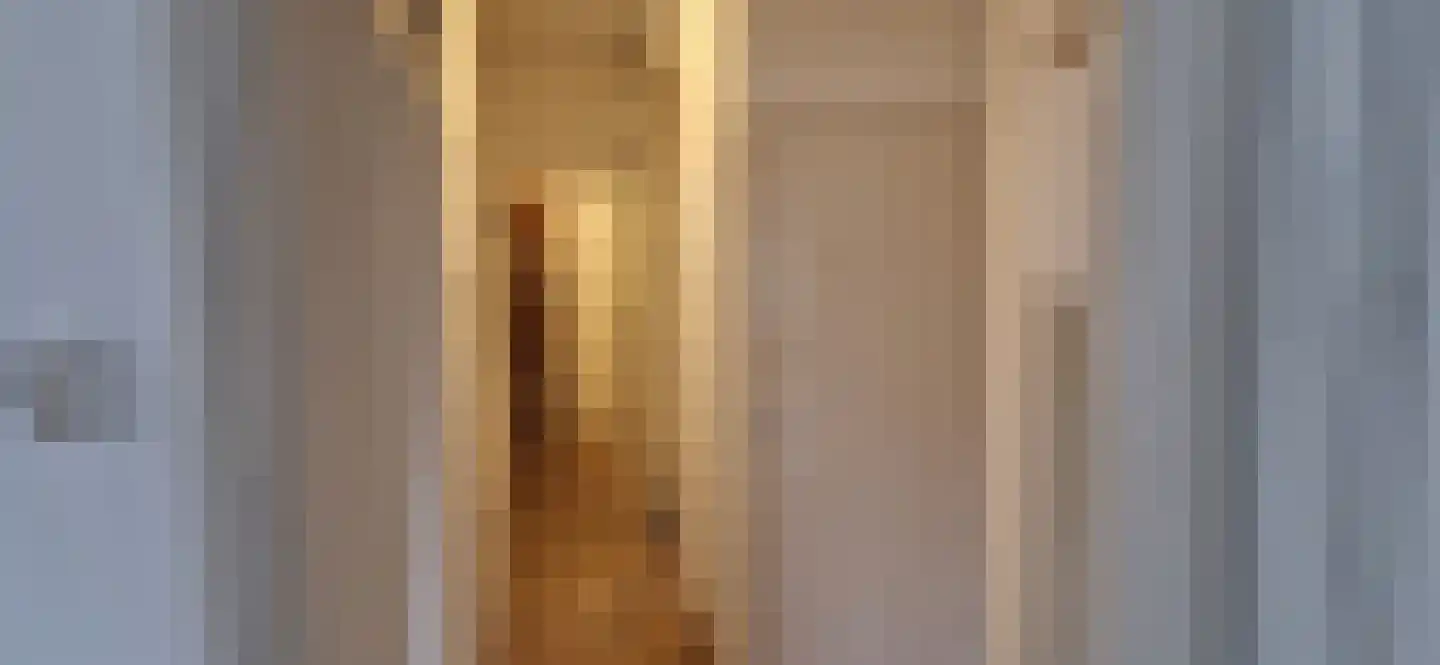 Van Maanenstraat 14 B Rotterdam thumbnail 5