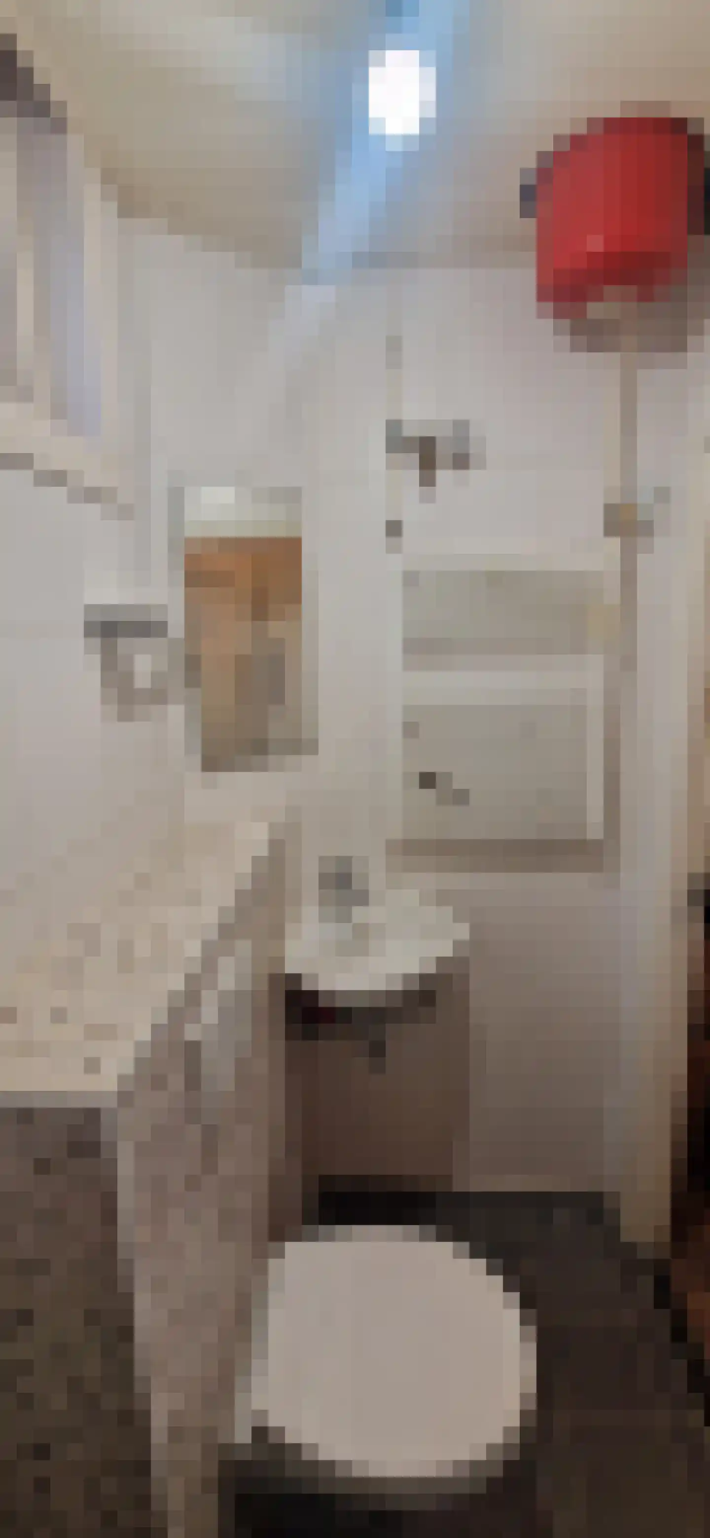 Van Maanenstraat 14 D Rotterdam thumbnail 17