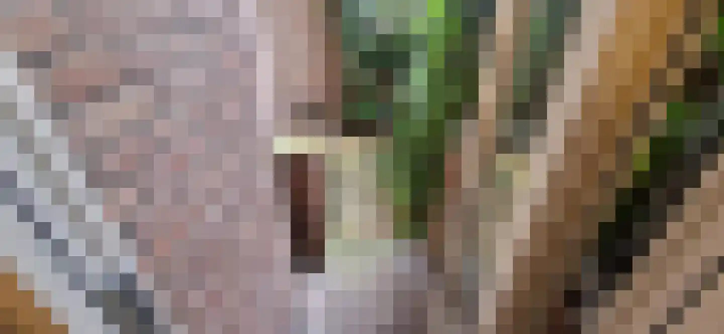 Van Maanenstraat 14 D Rotterdam thumbnail 21