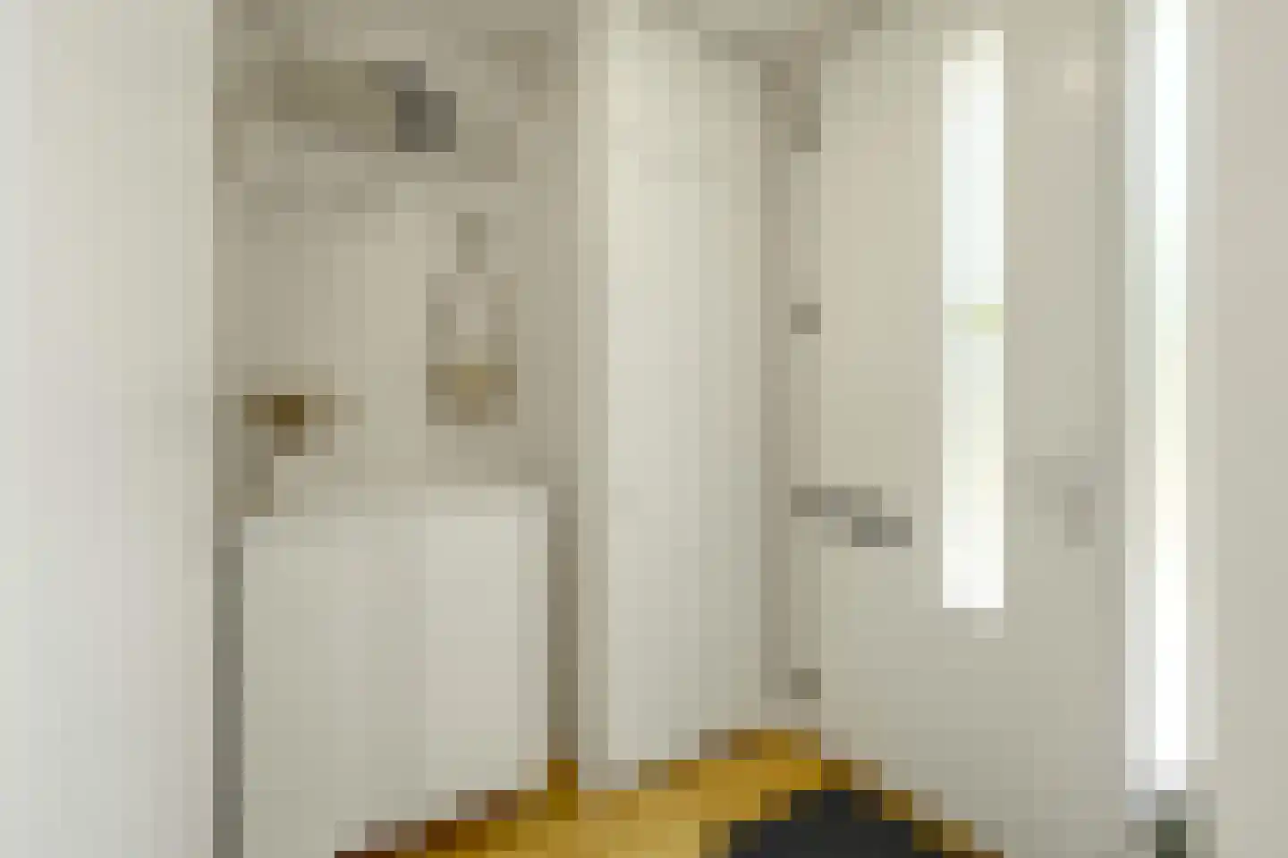 van Maanenstraat 19 Eindhoven thumbnail 12