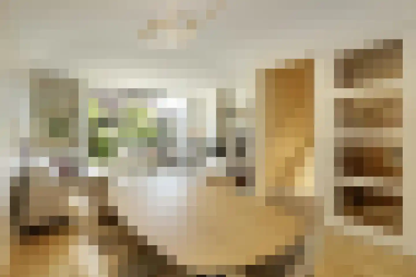 van Maanenstraat 19 Eindhoven thumbnail 14