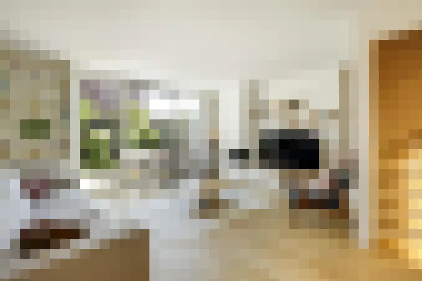 van Maanenstraat 19 Eindhoven thumbnail 15