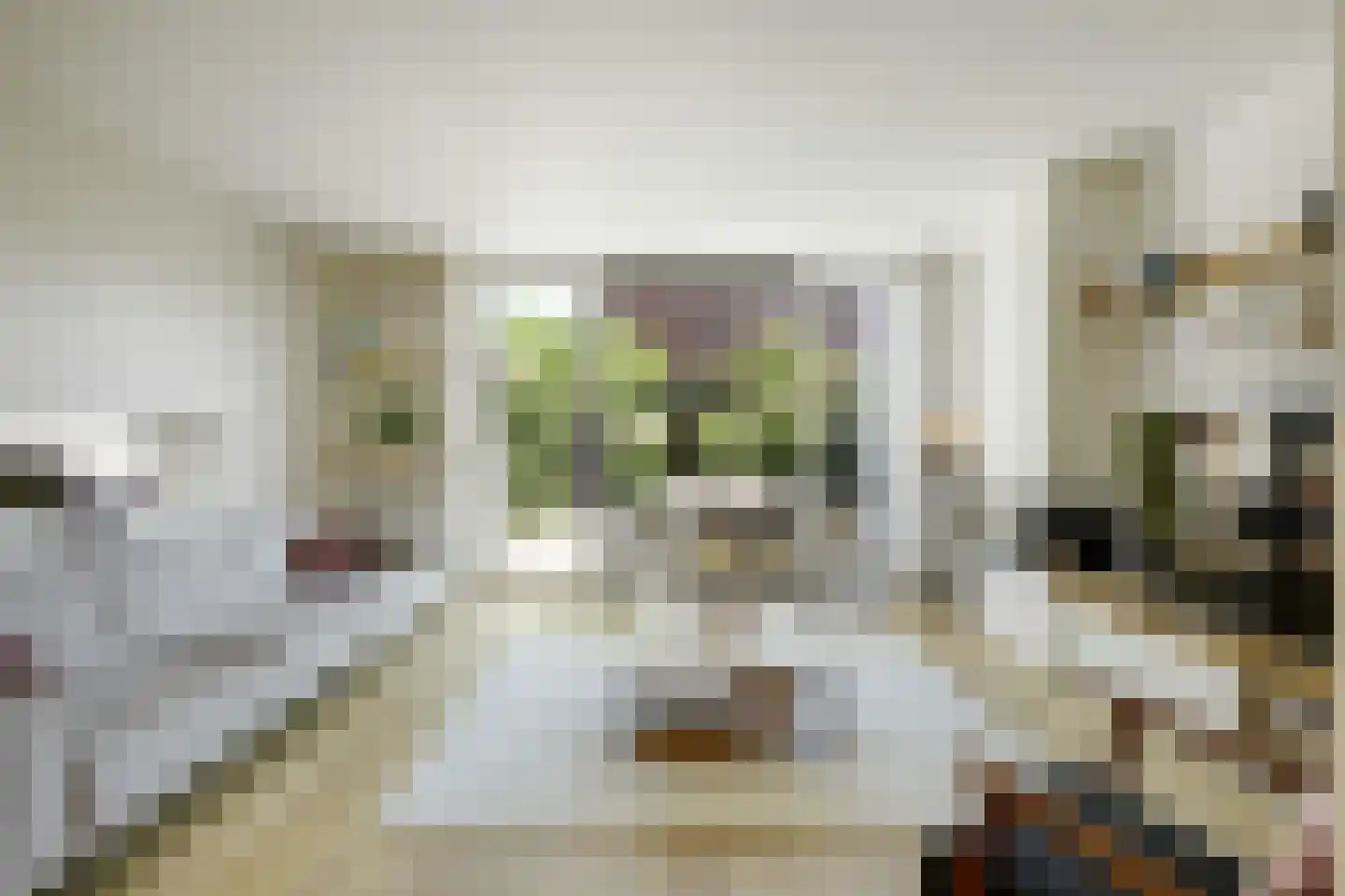 van Maanenstraat 19 Eindhoven thumbnail 17