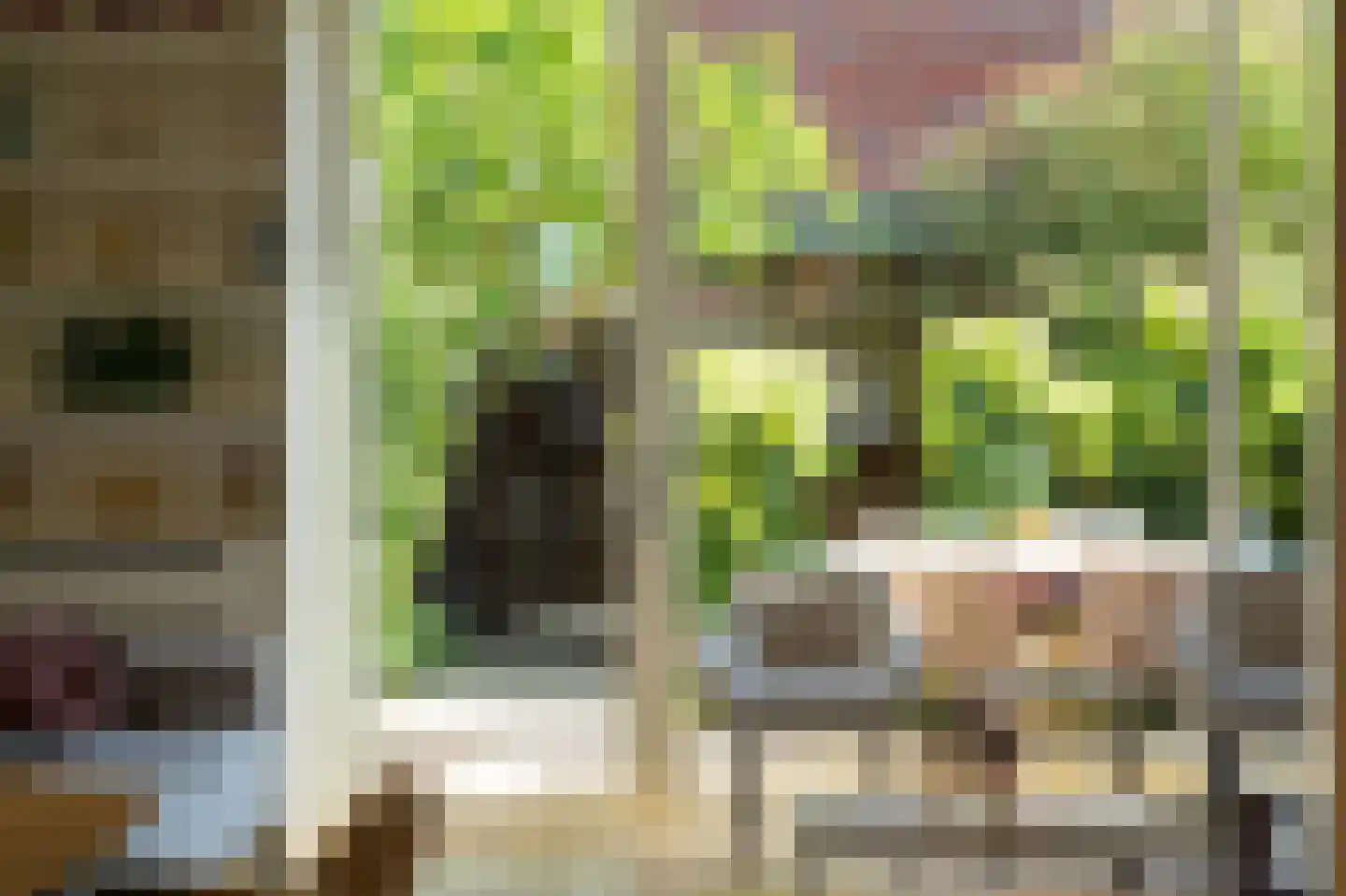 van Maanenstraat 19 Eindhoven thumbnail 18