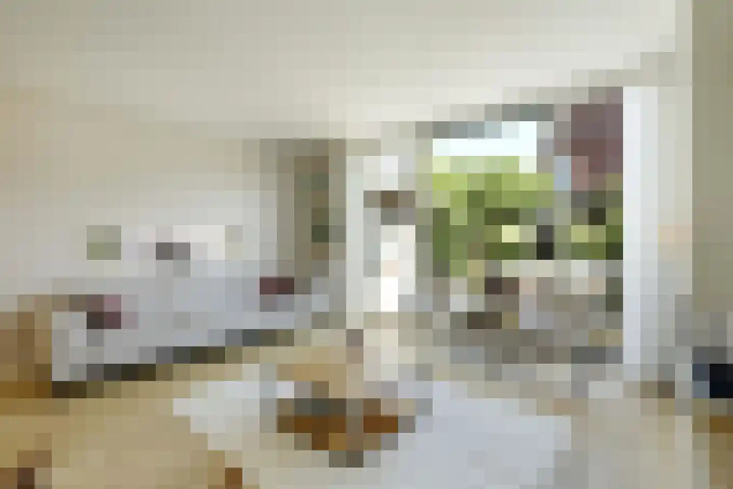 van Maanenstraat 19 Eindhoven thumbnail 20