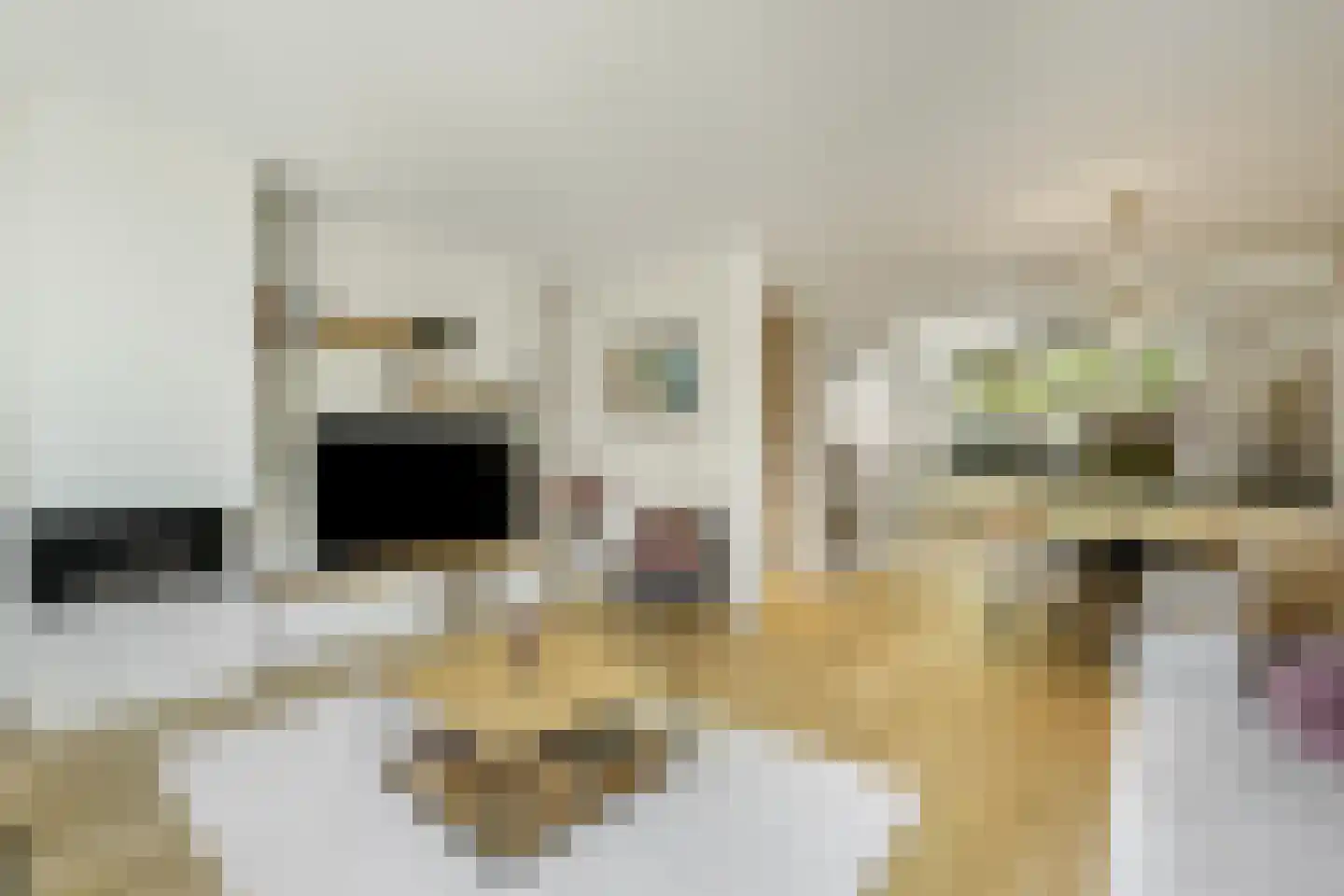 van Maanenstraat 19 Eindhoven thumbnail 21