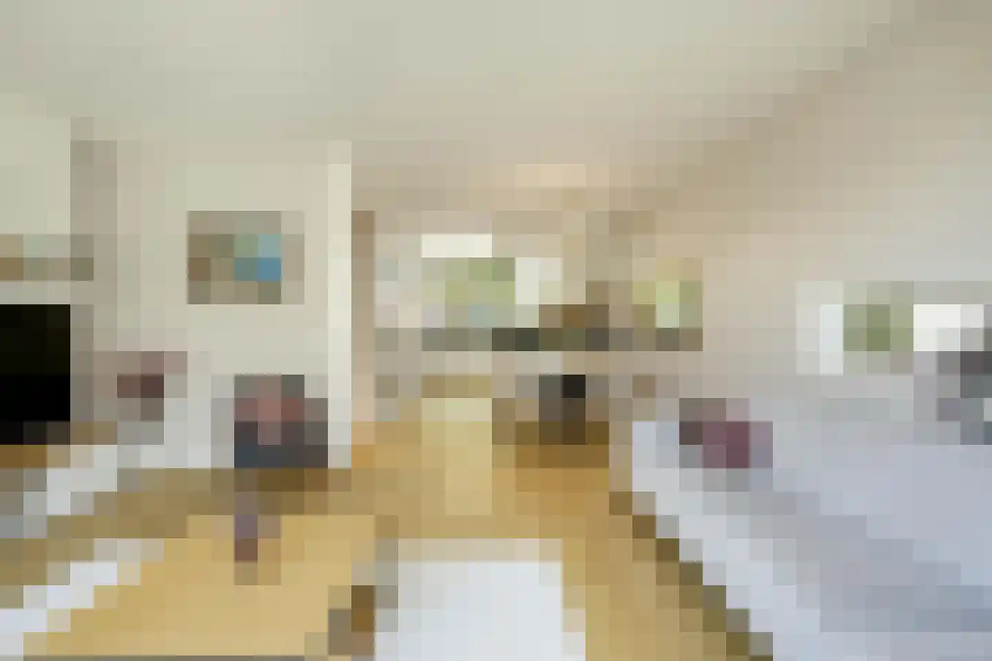 van Maanenstraat 19 Eindhoven thumbnail 22