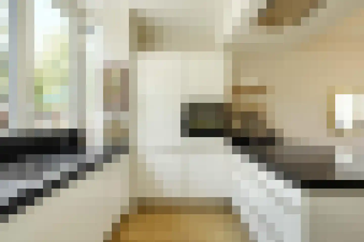 van Maanenstraat 19 Eindhoven thumbnail 27