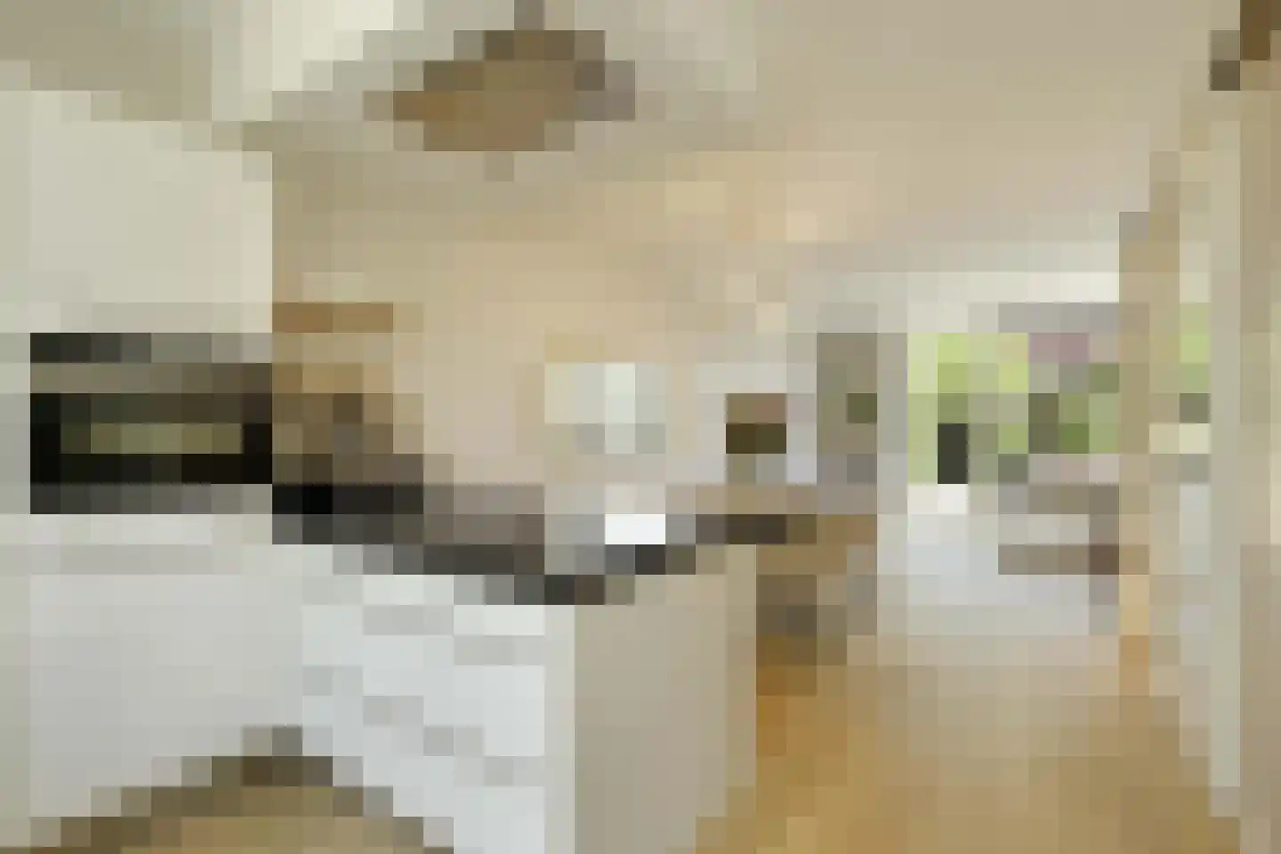 van Maanenstraat 19 Eindhoven thumbnail 28