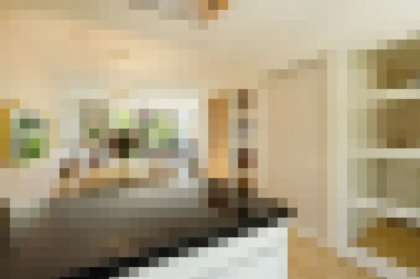 van Maanenstraat 19 Eindhoven thumbnail 29