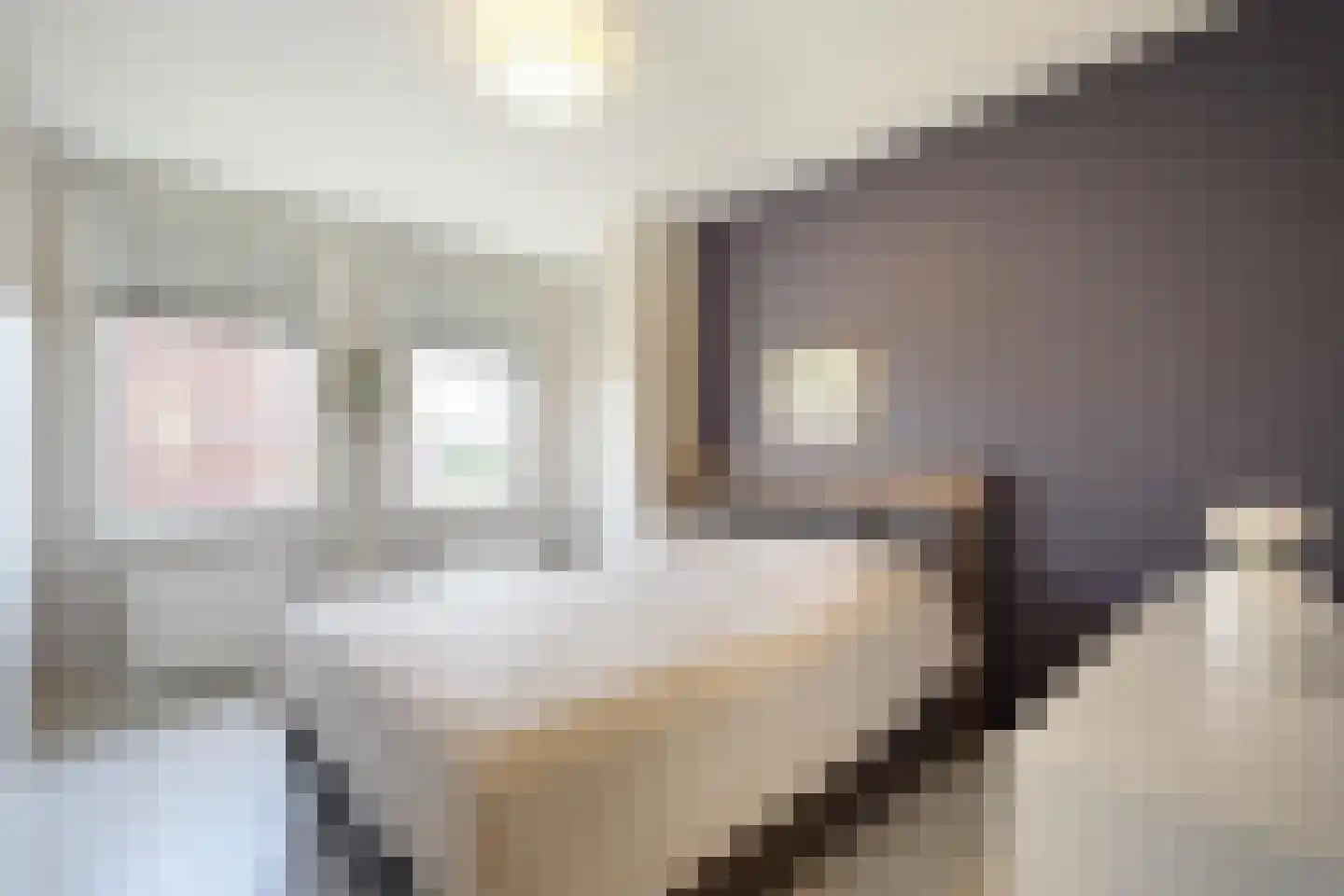 van Maanenstraat 19 Eindhoven thumbnail 33