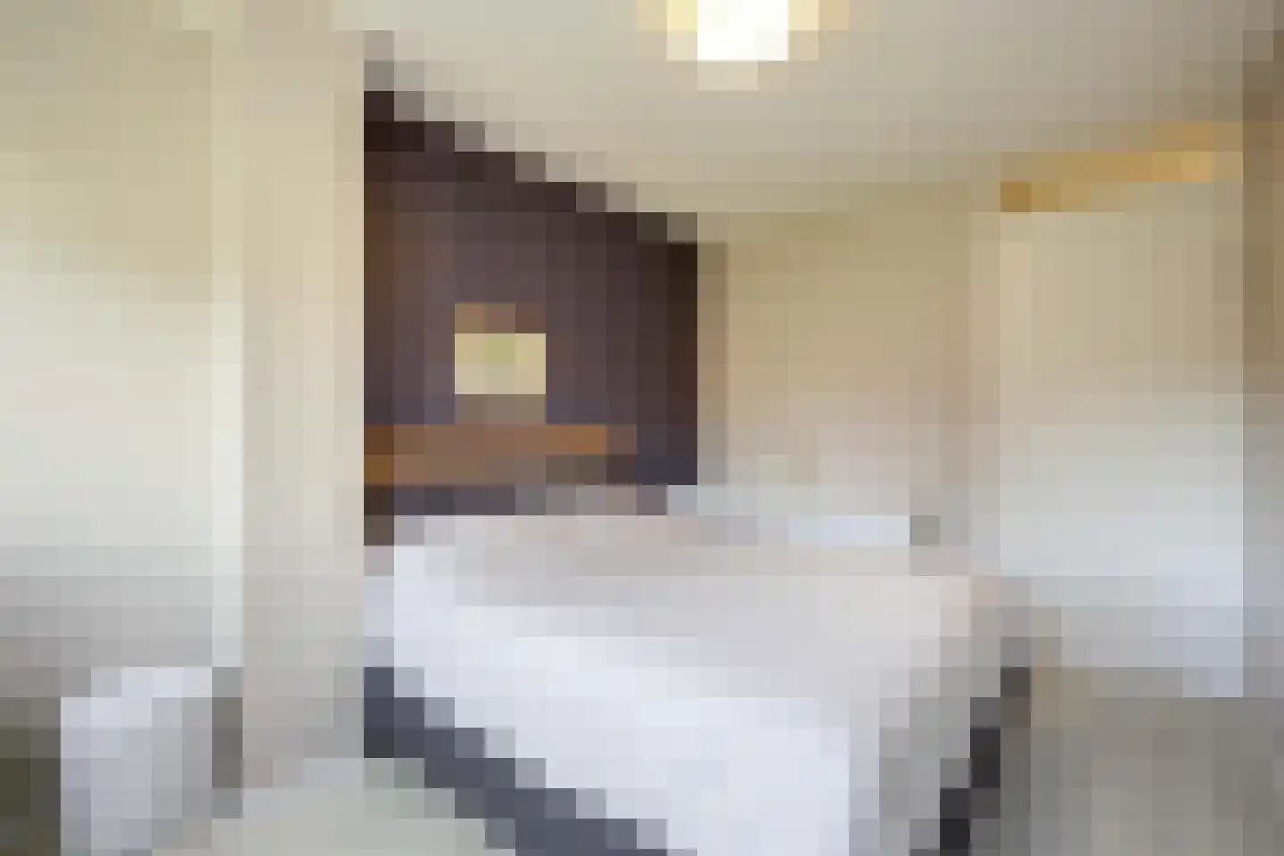 van Maanenstraat 19 Eindhoven thumbnail 35