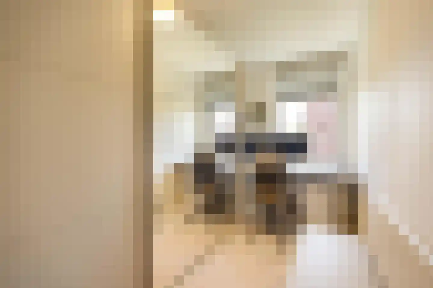 van Maanenstraat 19 Eindhoven thumbnail 37