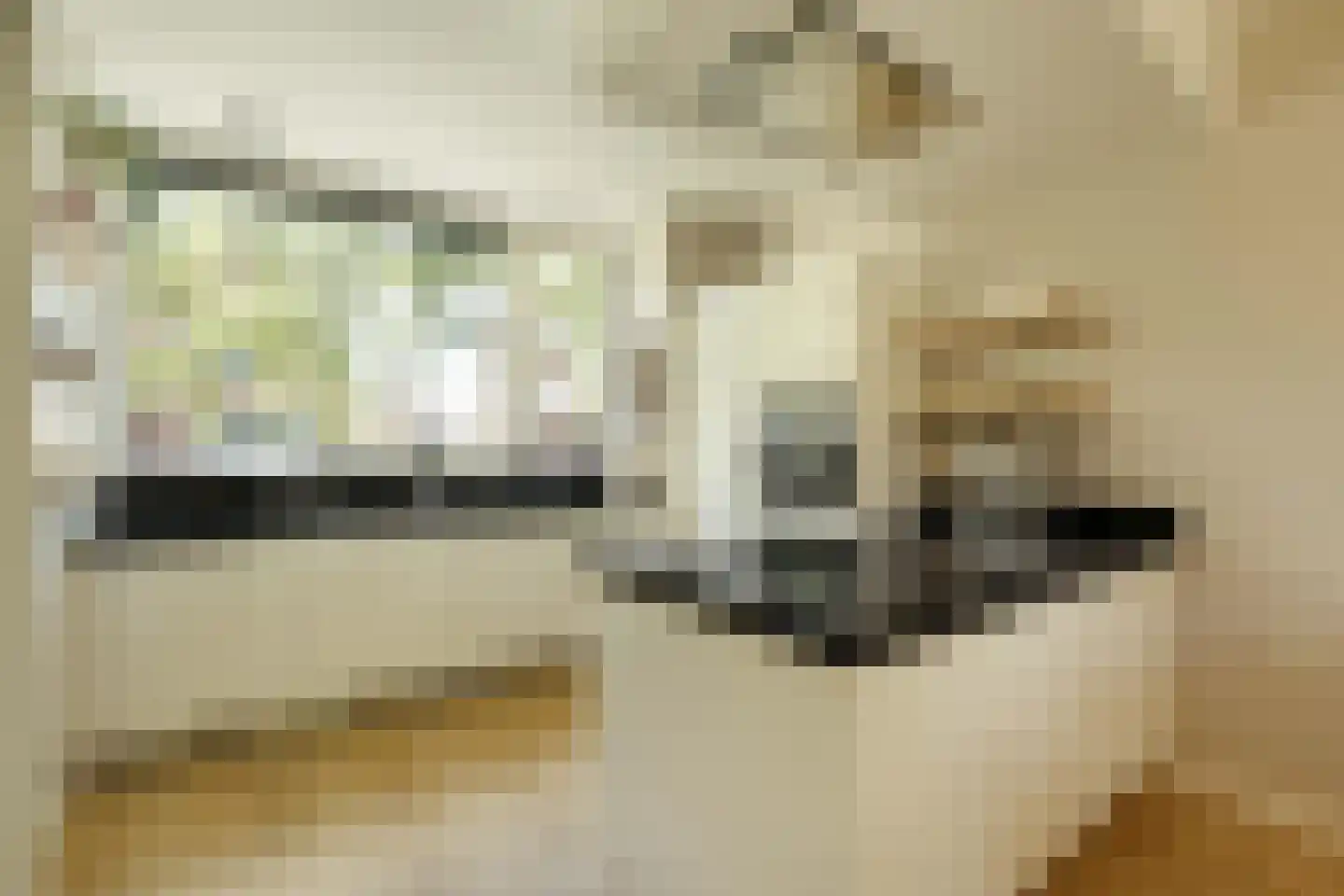 van Maanenstraat 19 Eindhoven thumbnail 4